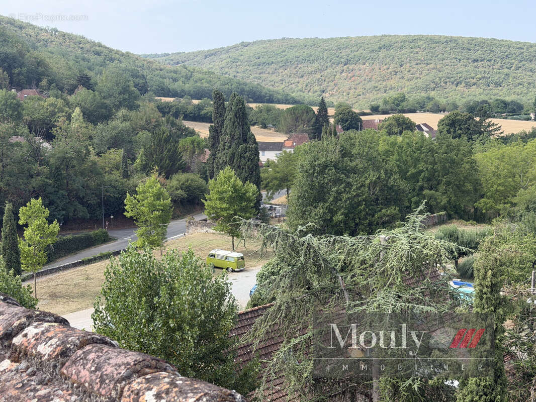 Chateau  avec vue exceptionnelle sur le lot - photo 44