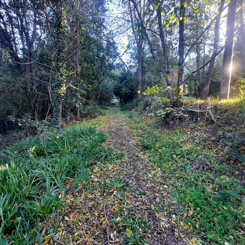 Maison à BOUCOIRAN-ET-NOZIERES