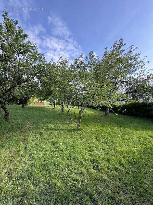 Terrain à HAM-SOUS-VARSBERG