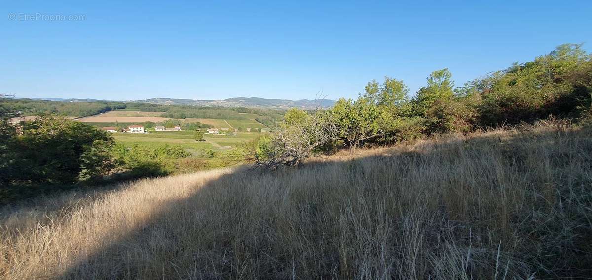 Terrain à LACHASSAGNE