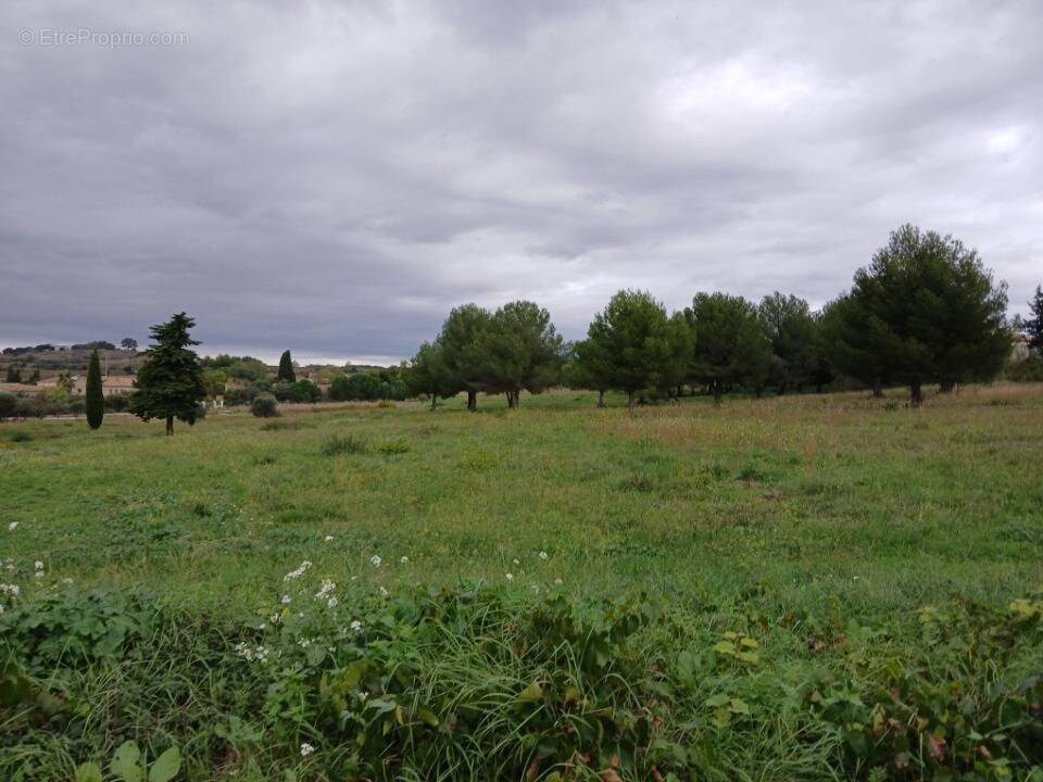 Terrain à CANET