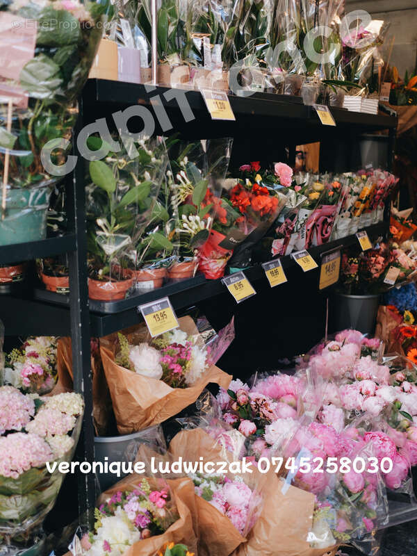 Commerce à SAINT-AMAND-LES-EAUX