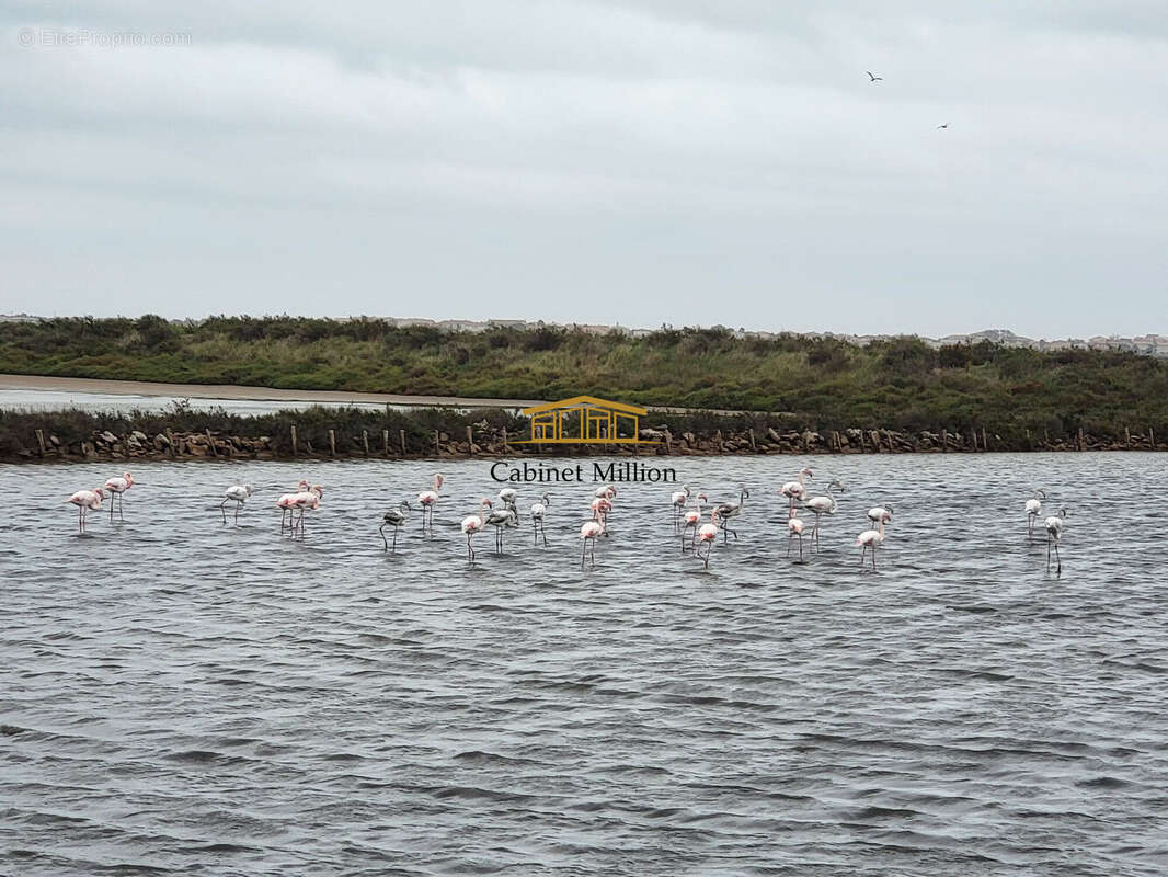 Maison à VIC-LA-GARDIOLE