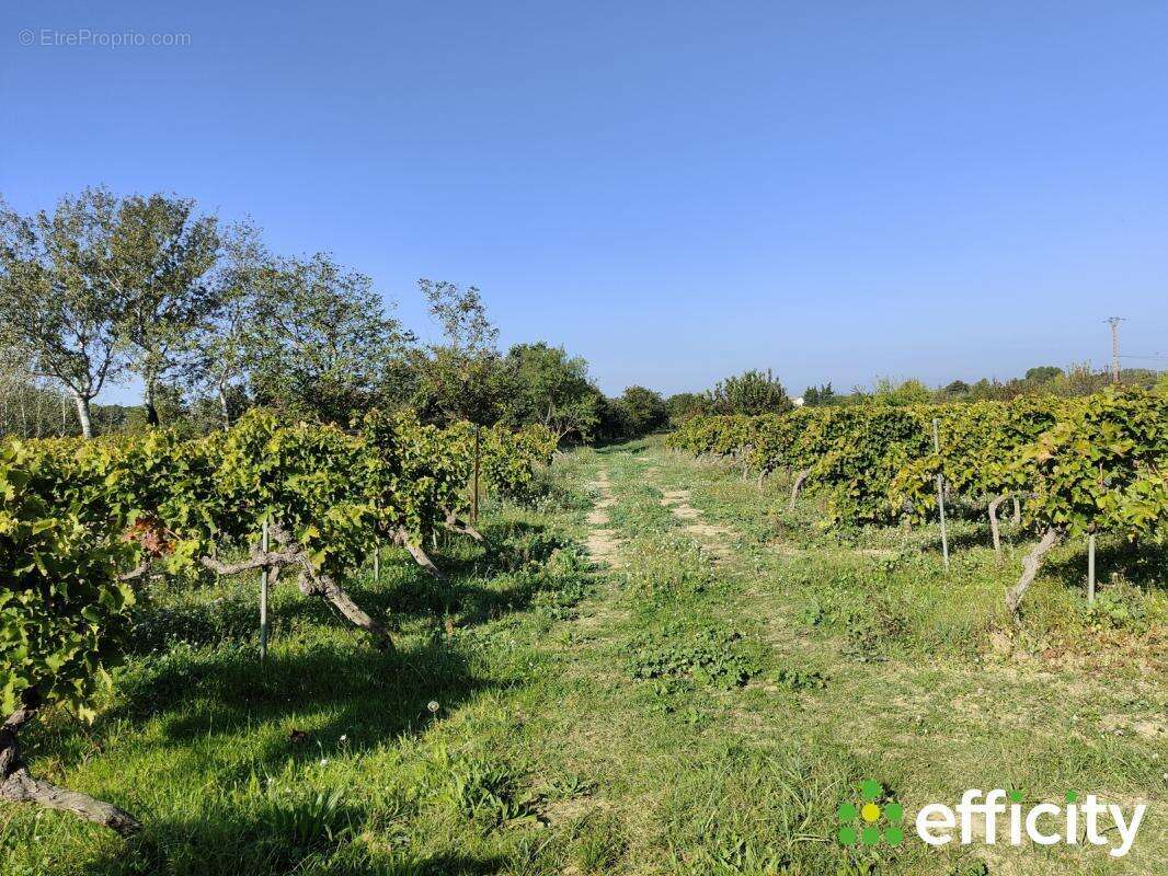 Maison à PERNES-LES-FONTAINES