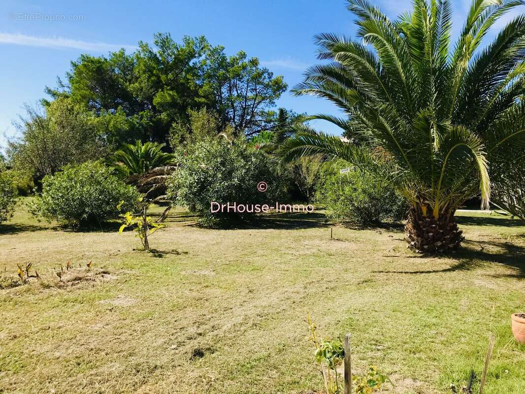 Maison à SAINTES-MARIES-DE-LA-MER