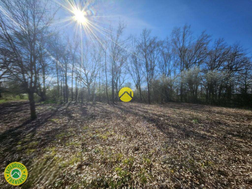 Terrain à LA GUERCHE-SUR-L'AUBOIS
