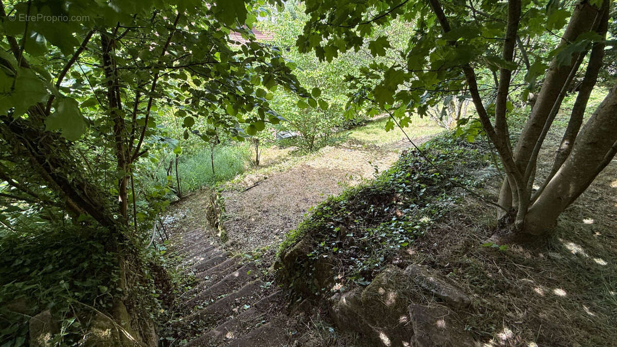 Terrain à RAON-L&#039;ETAPE