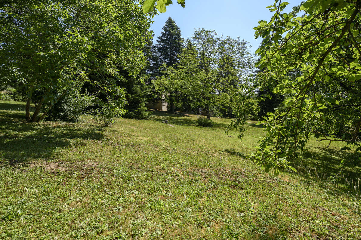 Propriété d'exception sur les hauteurs de Morschwiller (67350) 140 m2 habitables sur 41,77 ares de terrain - photo 18