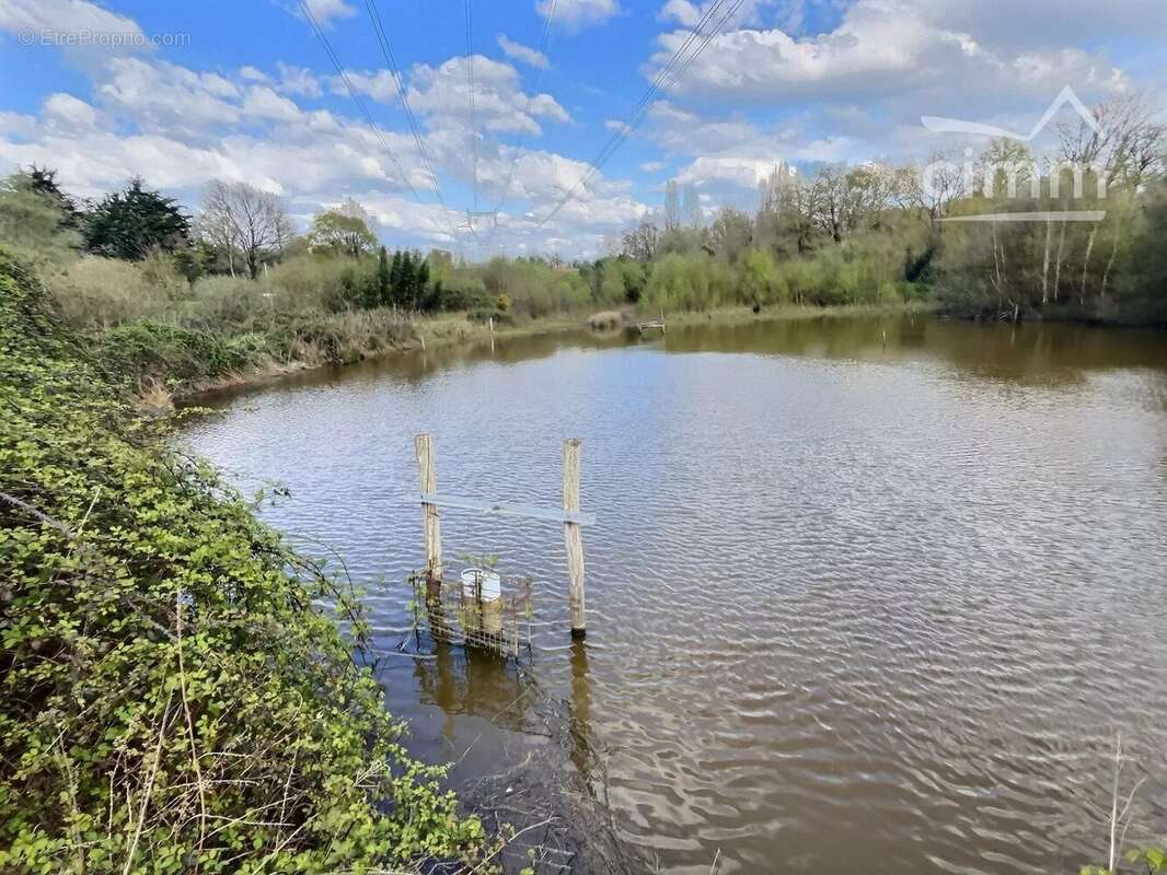 Terrain à NOZAY