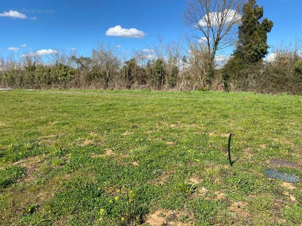 Terrain à LES MATHES