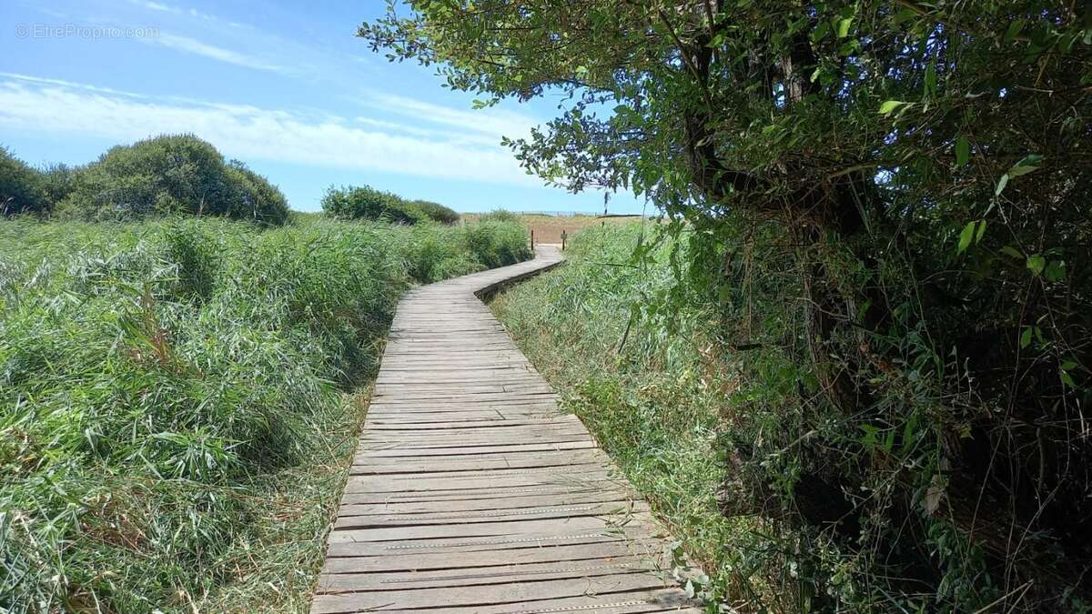 Terrain constructible - Accès plage Landrezac - 792 m2 - photo 3