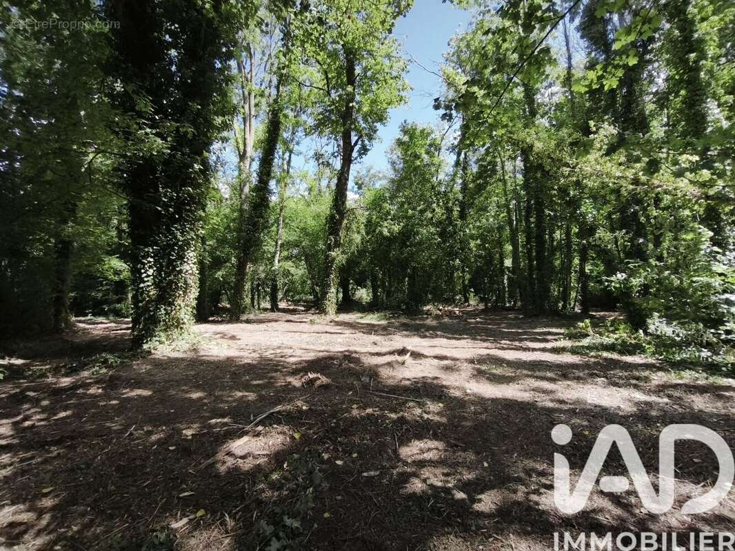 Terrain 2320 m² à Boult-Sur-Suippe  - photo 7