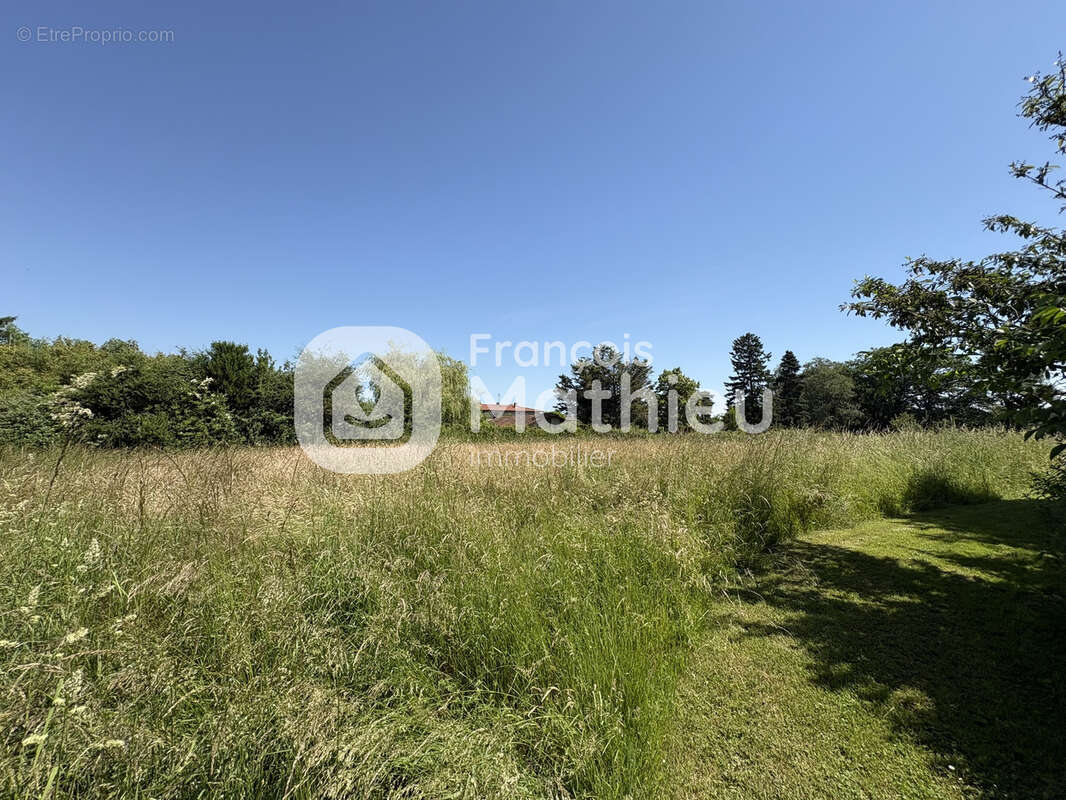 Terrain à MARLIEUX