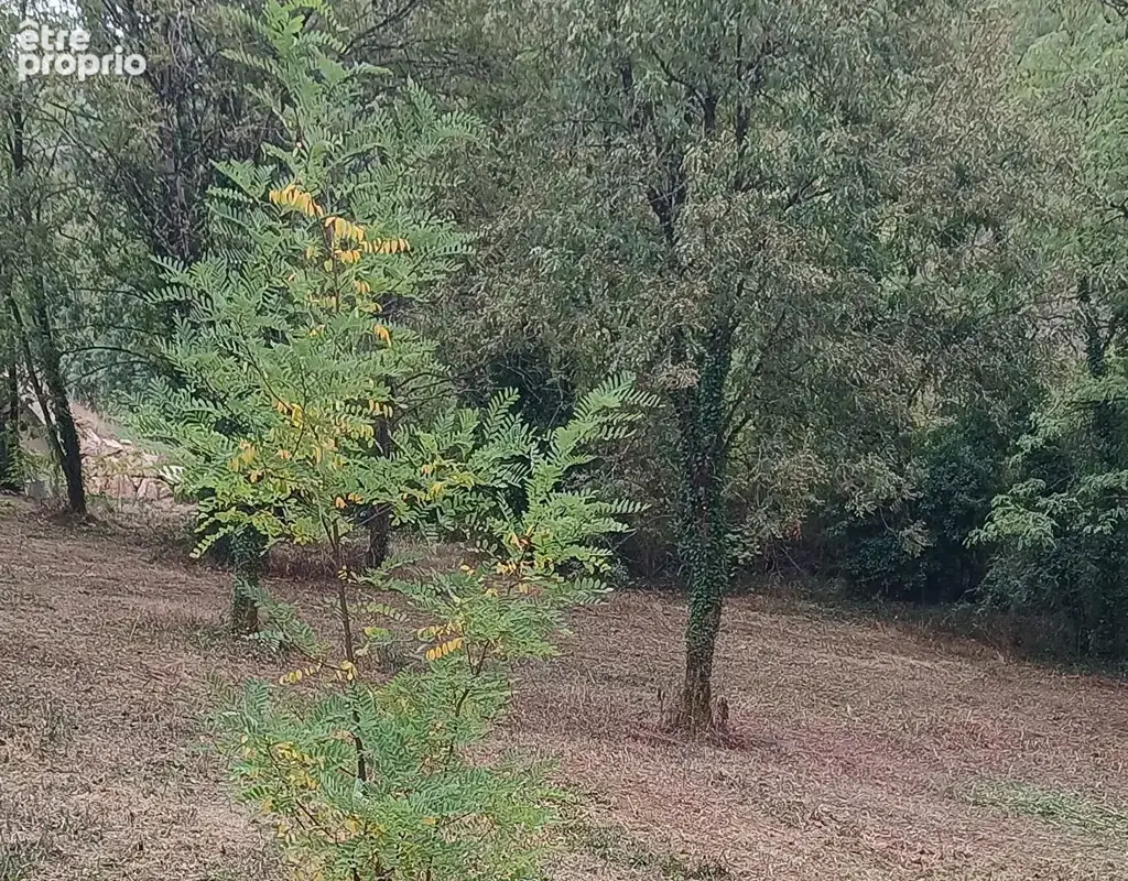 Terrain constructible Beaune 7000 m2 - photo 2