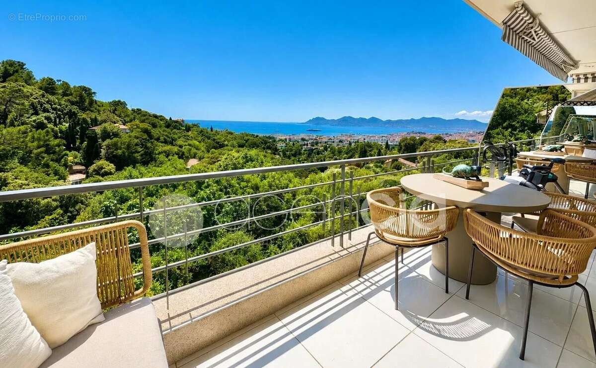 Super cannes - photo 2