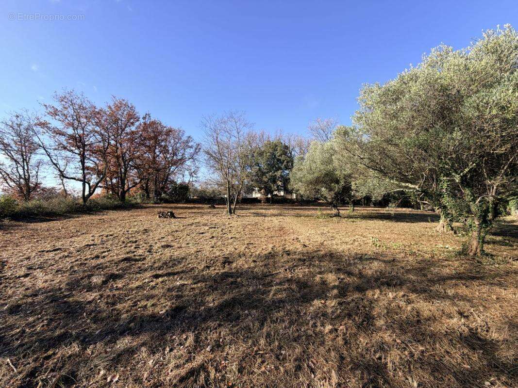 Terrain à CRUVIERS-LASCOURS