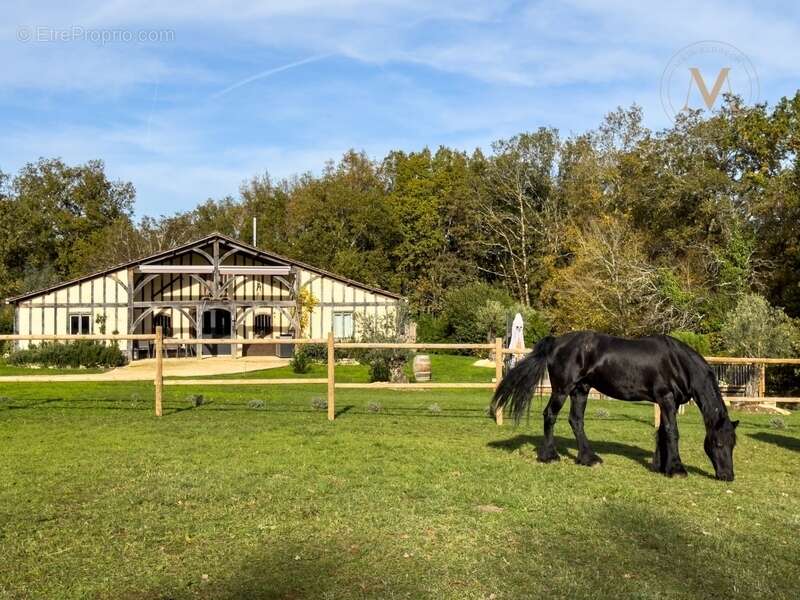 Propriété équestre d’exception implantée sur 21 hectares d’un seul tenant, à proximité de THEZAC (47) - photo 4