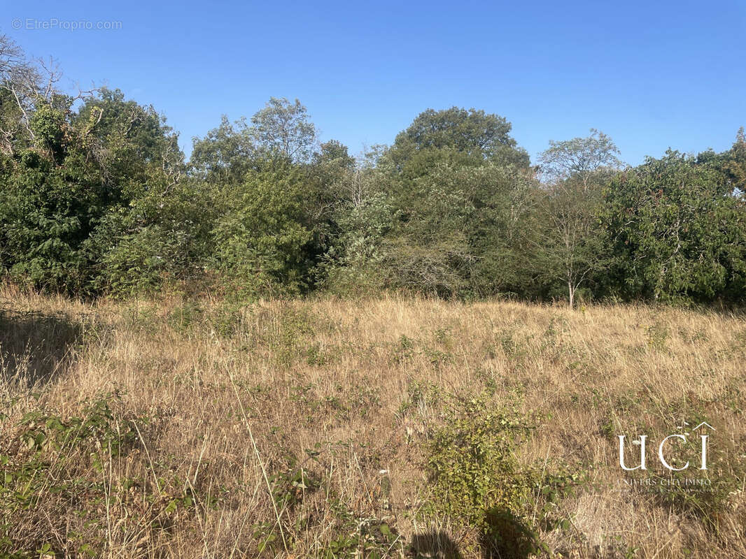 Terrain 819 m² à Corcoue-Sur-Logne  - photo 2