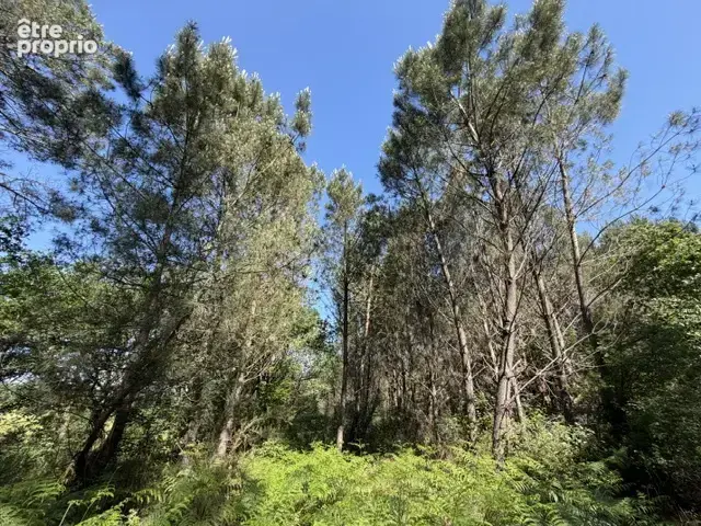 Maison avec fort potentiel - photo 14