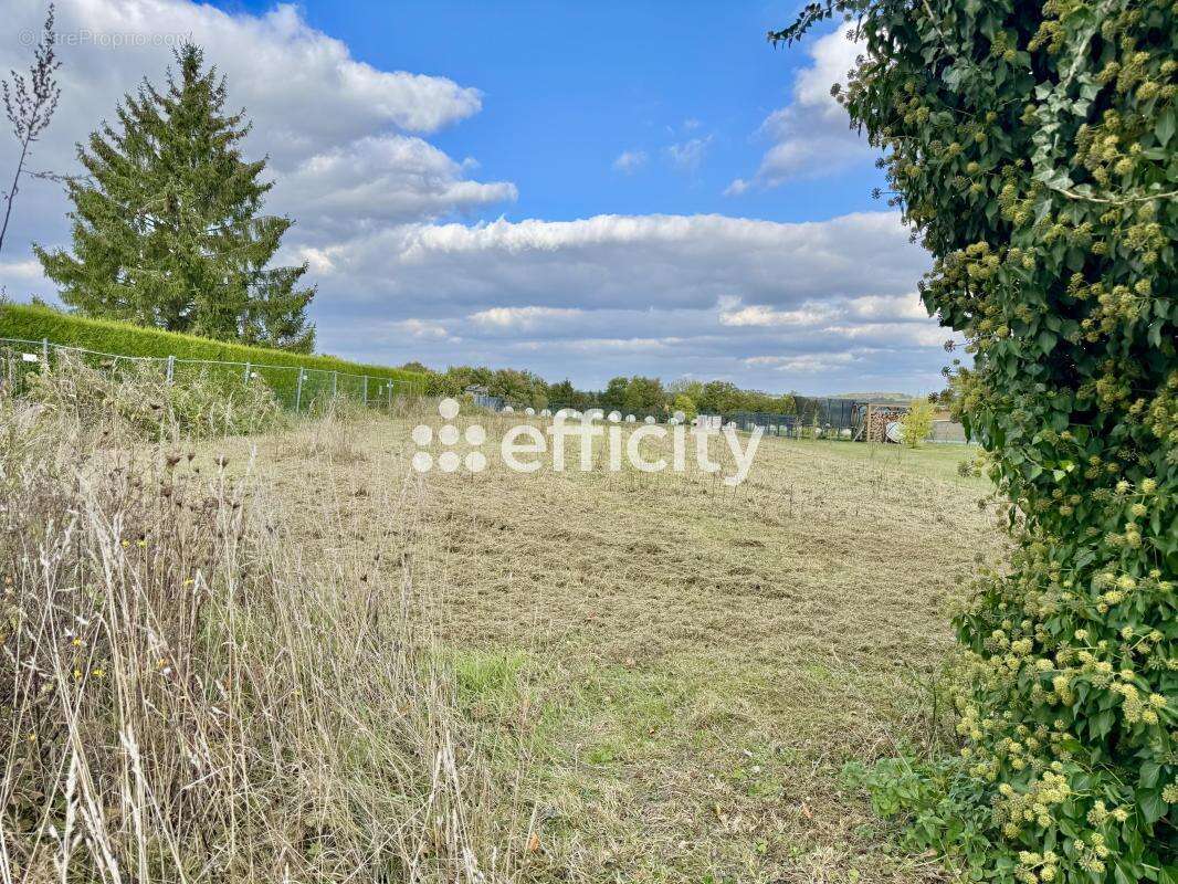 Maison 140 m² à Chavigny  - photo 3
