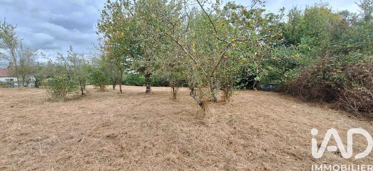Photo 3 - Terrain à MOSNAY