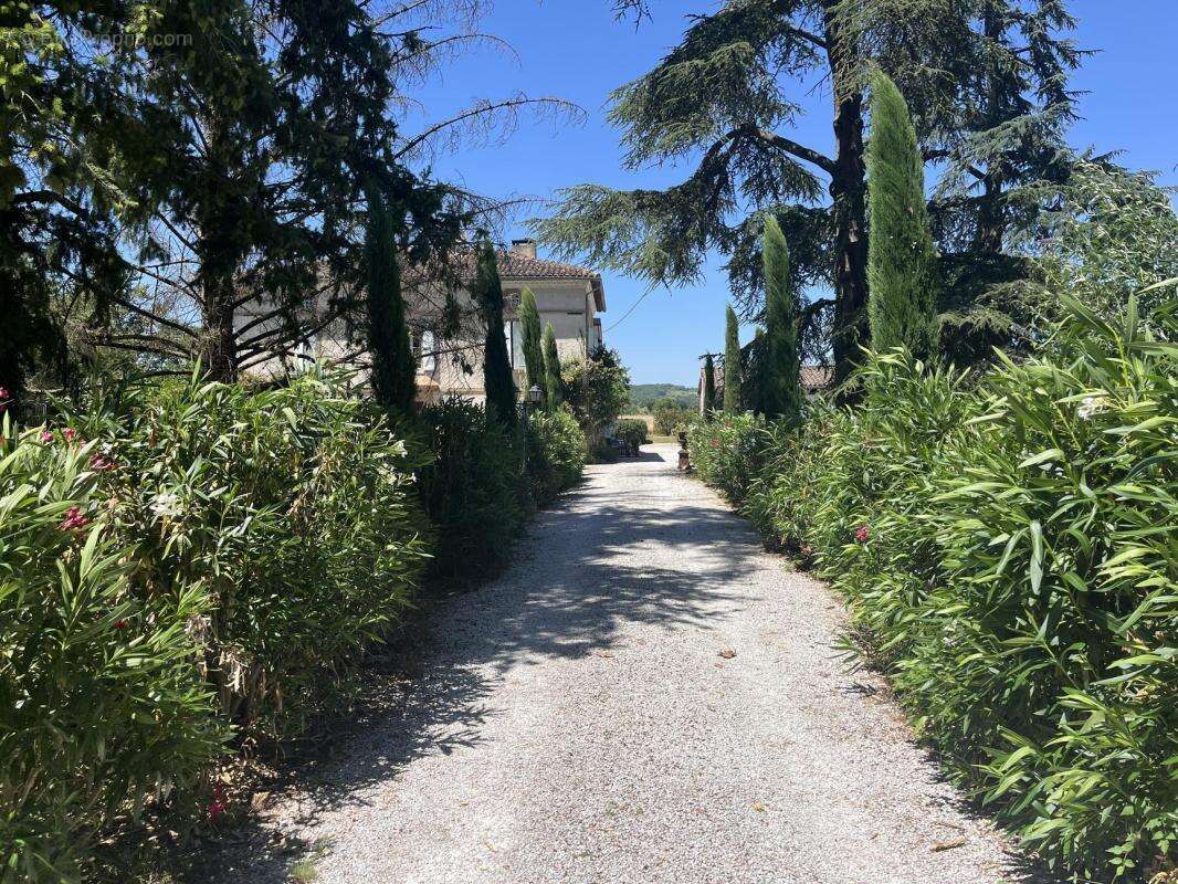 Maison à GAILLAC