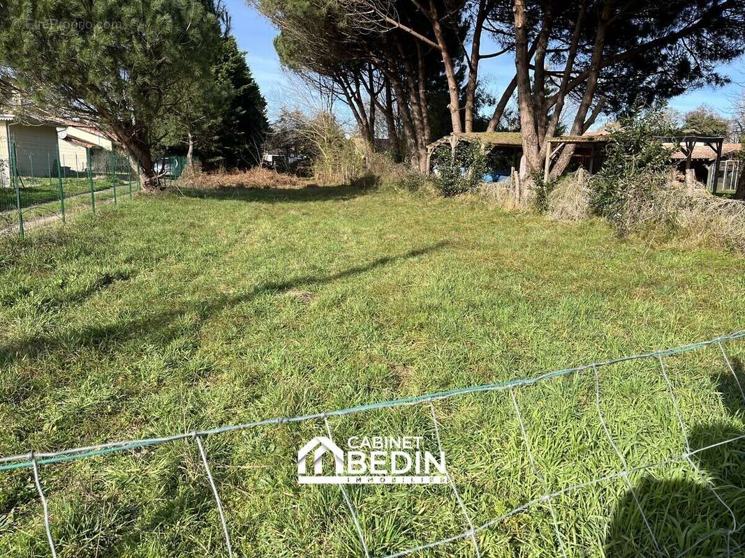 Terrain 600 m² à Audenge  - photo 6