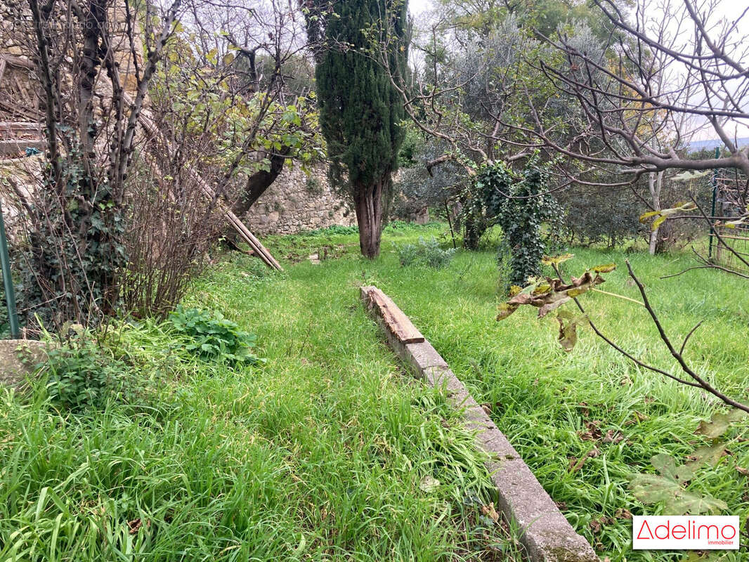Terrain à SAUZET