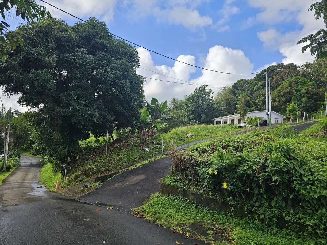 Terrain à SAINTE-MARIE