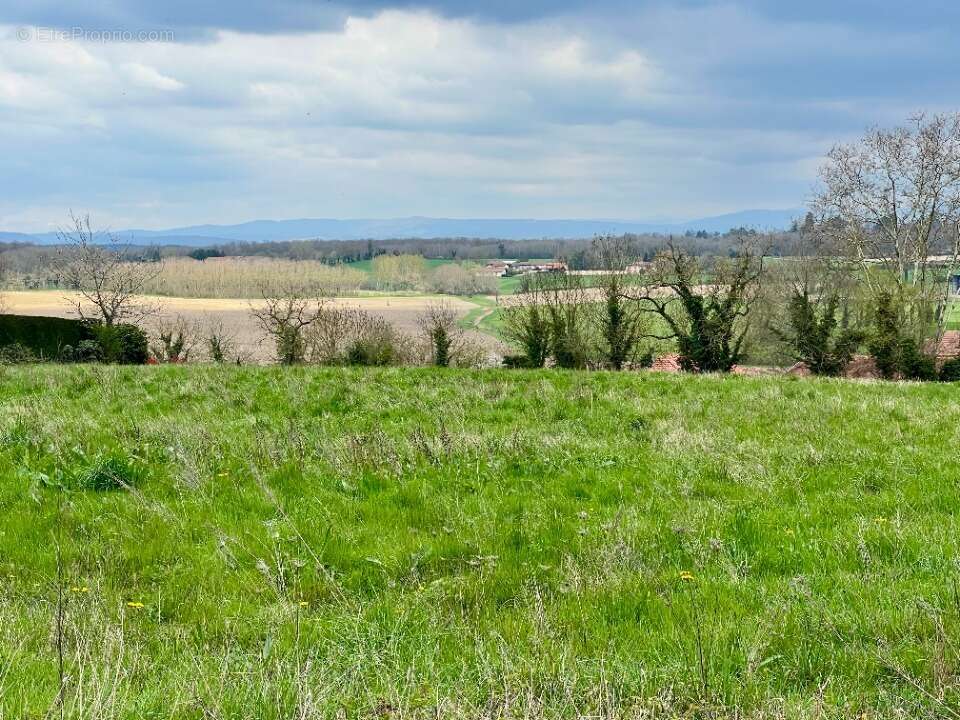 Terrain à CHALAMONT