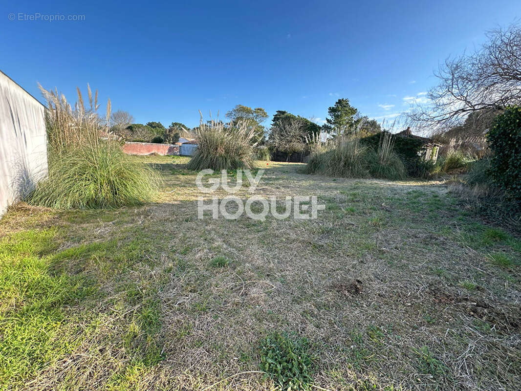 Terrain à LES PORTES-EN-RE