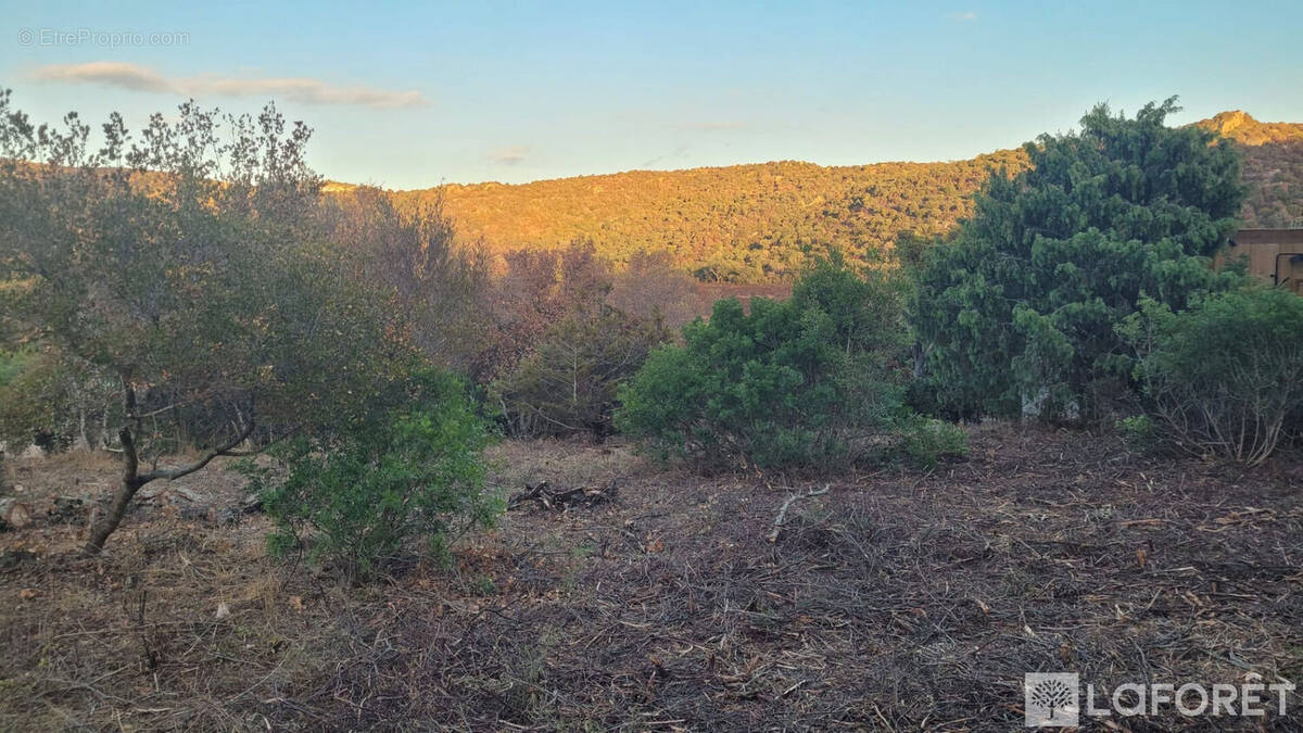 Terrain à PORTO-VECCHIO