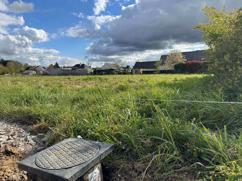 Terrain à SEICHES-SUR-LE-LOIR