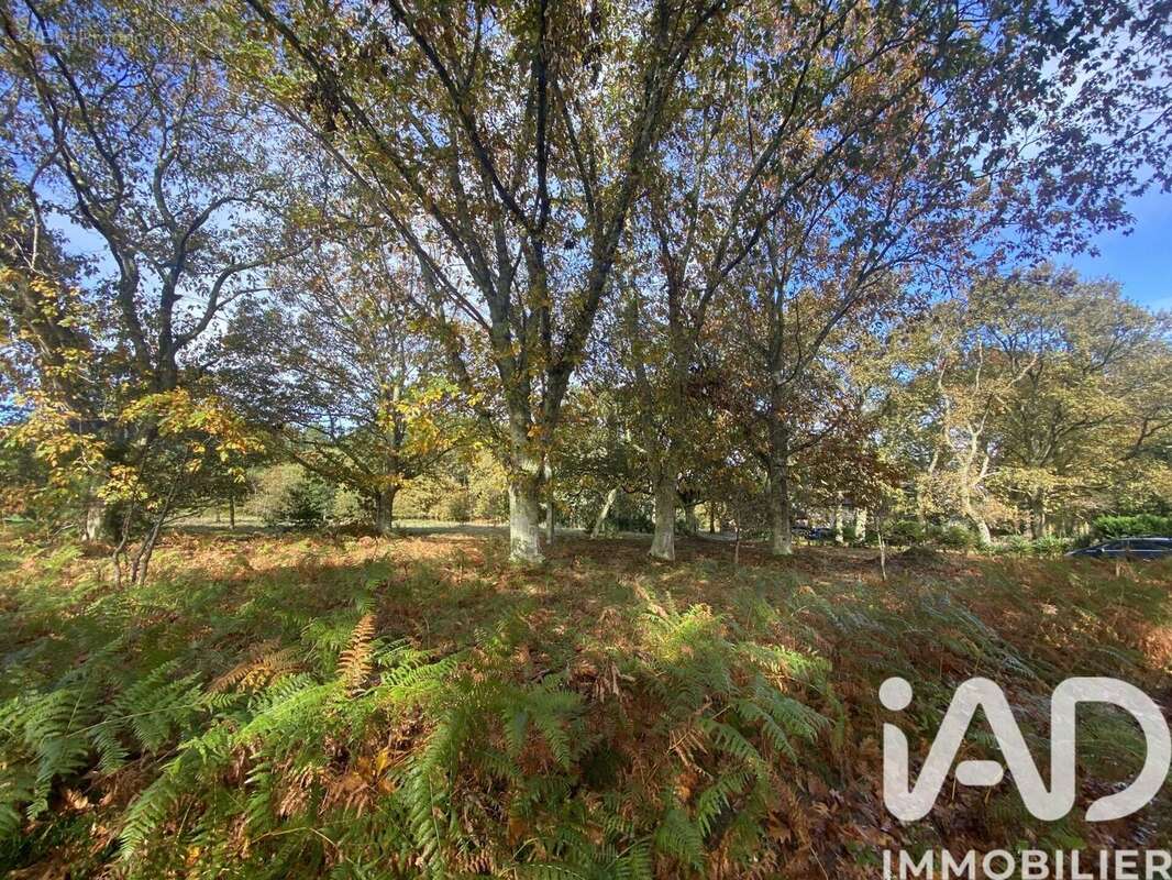 Photo 2 - Terrain à MEZOS