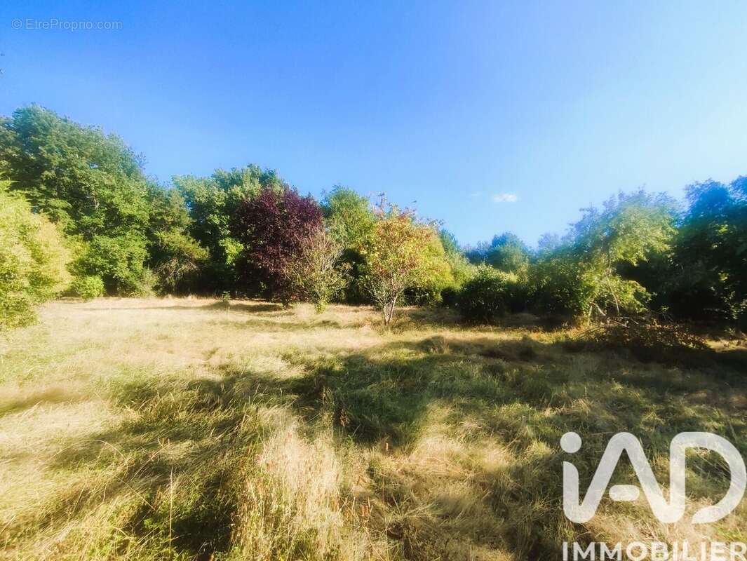 Photo 1 - Terrain à MONTAUBAN