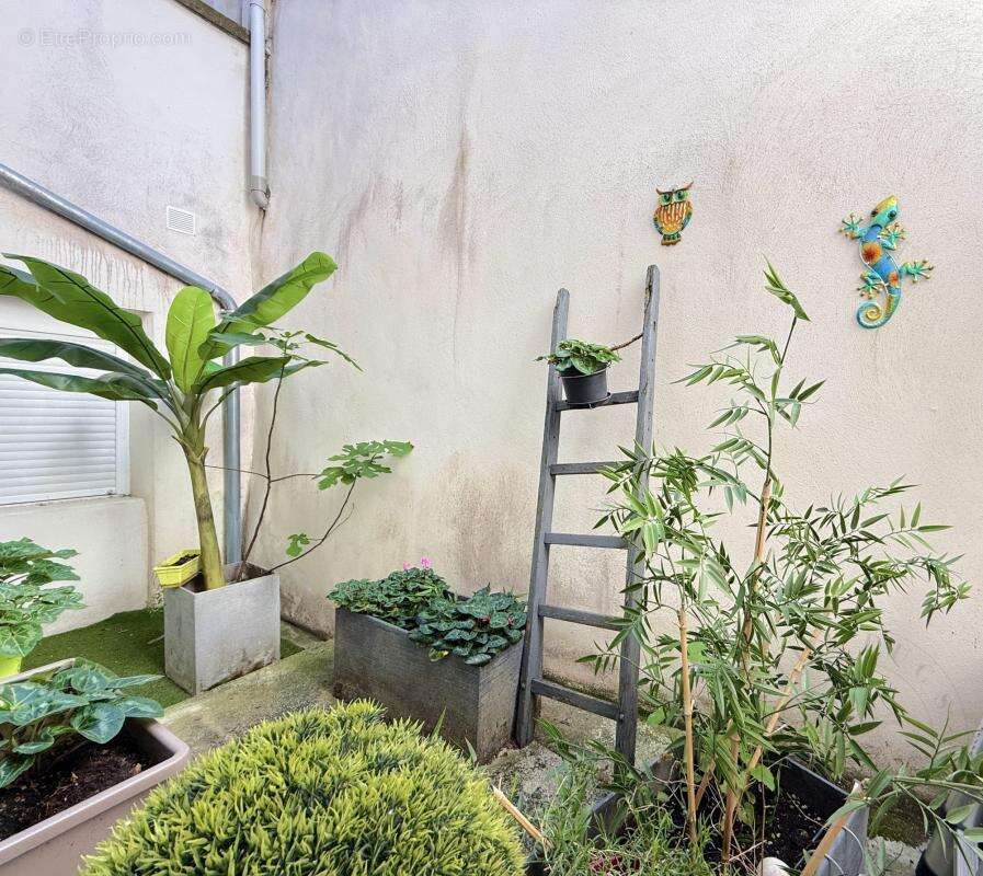 Commerce à CHAPONOST