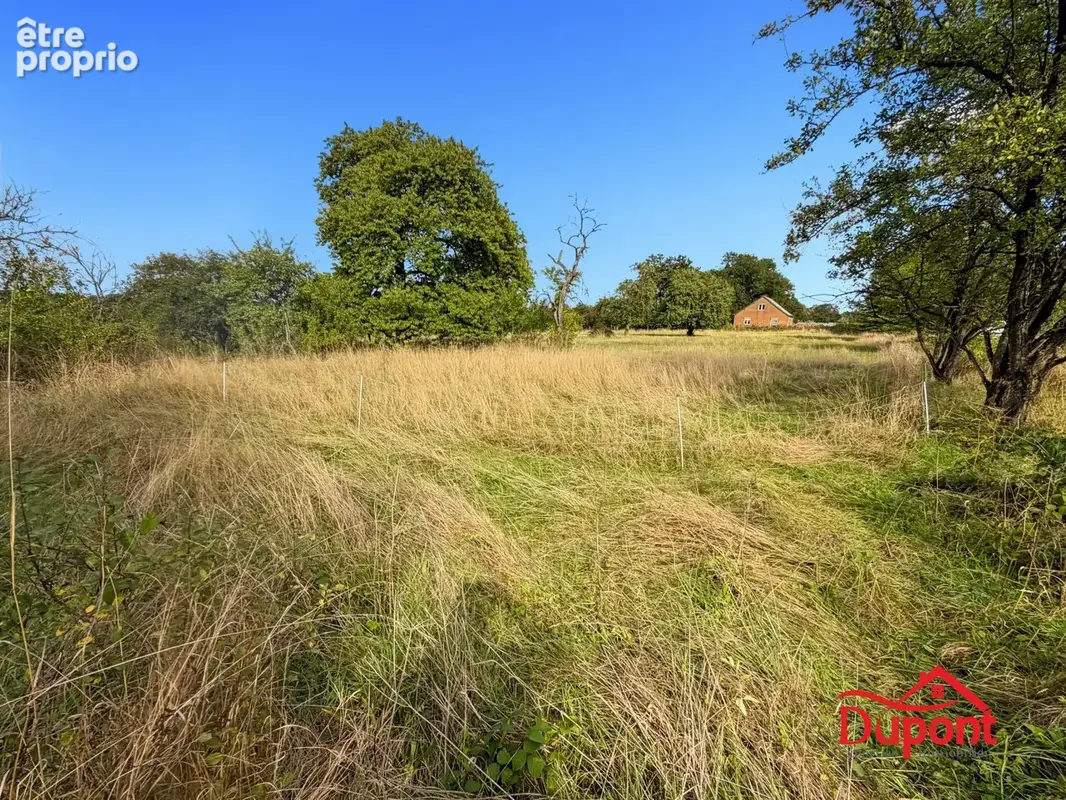Terrain 3 339 m² à vendre à Taillette (08230) - photo 2