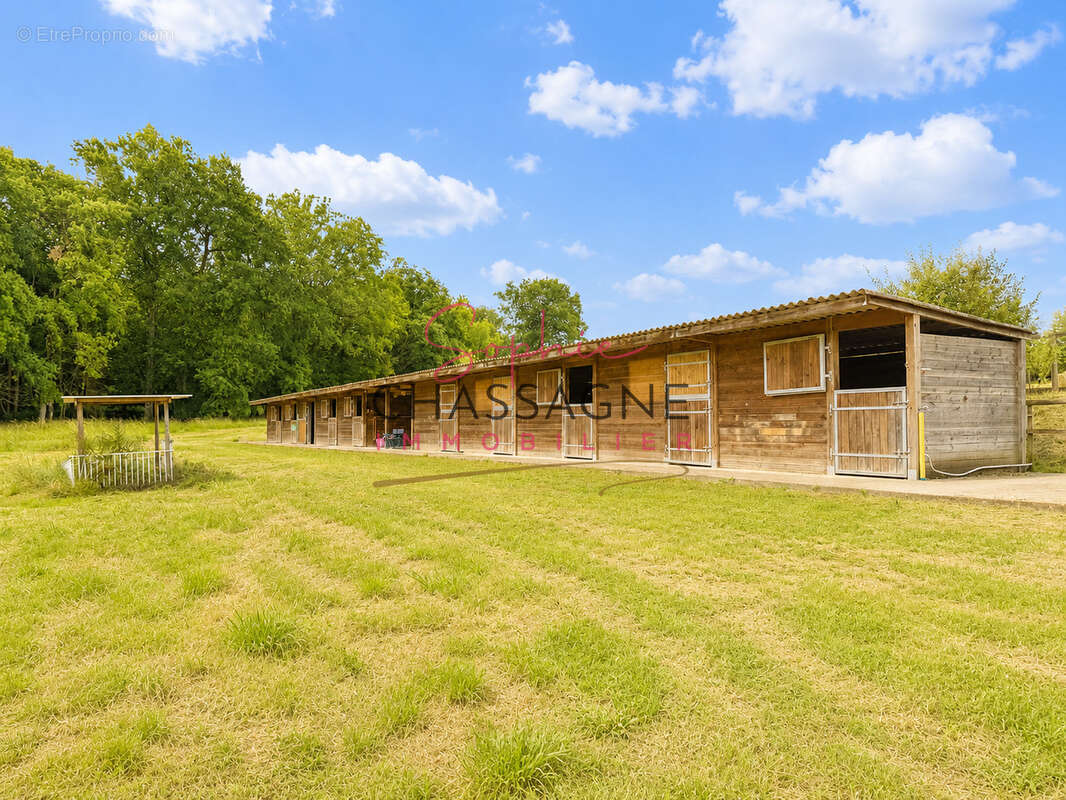 À 30 minutes de Bergerac   Propriété équestre avec 3 logements attenants sur plus de 4 hectares - photo 23