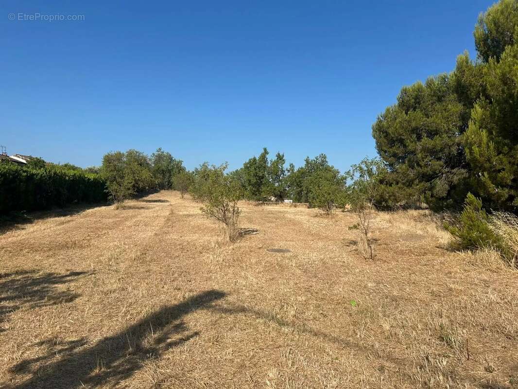 A vendre : terrain plat à Mouriès 850m2 - photo 4