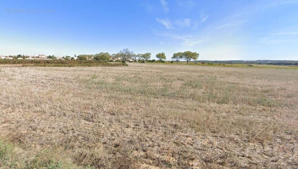 Terrain à ALIGNAN-DU-VENT