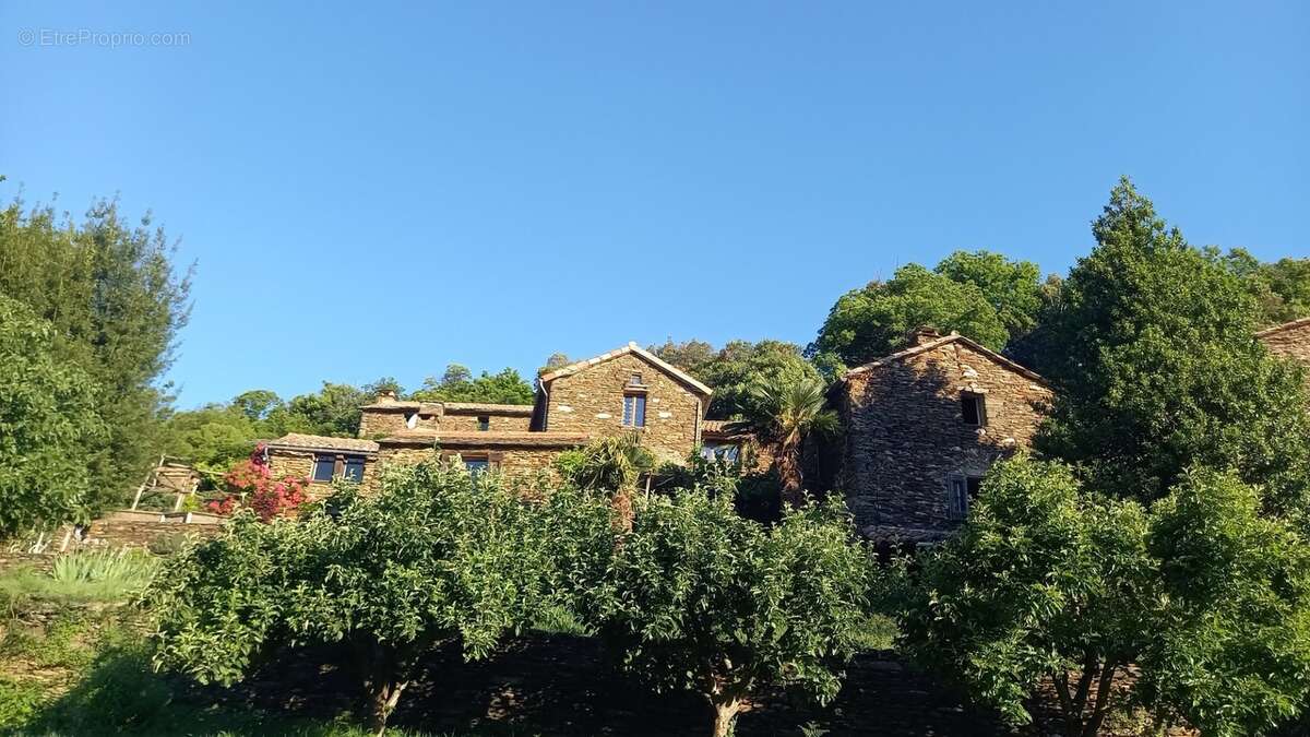 Maison de hameau à vendre SAINT MARTIN DE BOUBAUX (48) - photo 3