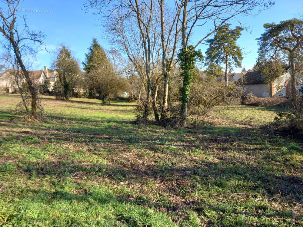 Terrain à ARNAY-LE-DUC