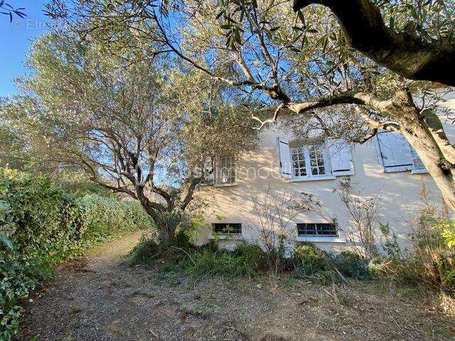 Maison à CASTELNAU-LE-LEZ