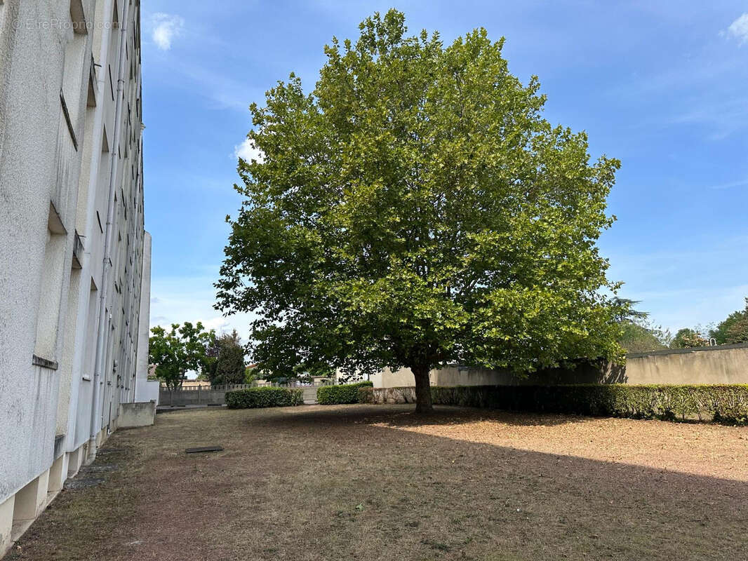 Appartement à ROANNE
