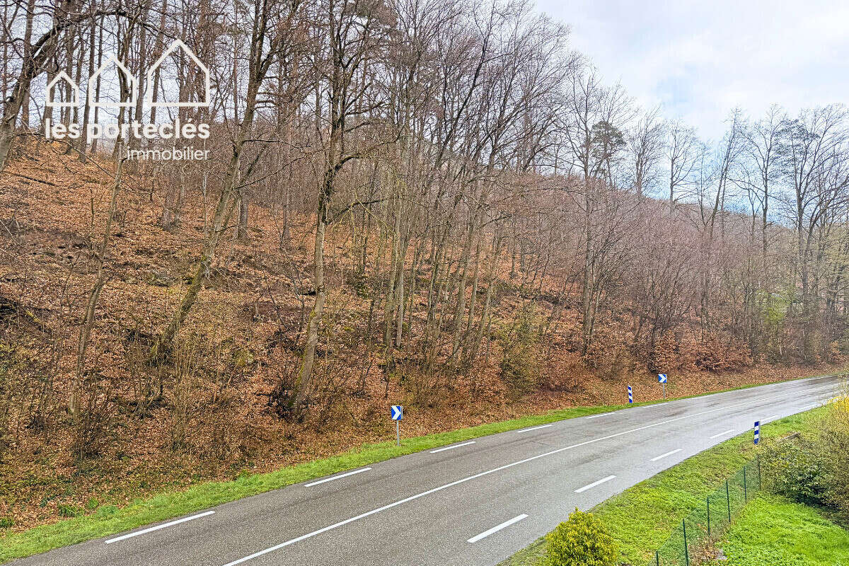 Maison à NIEDERBRONN-LES-BAINS