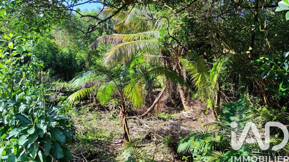 Photo 2 - Terrain à SAINT-PHILIPPE