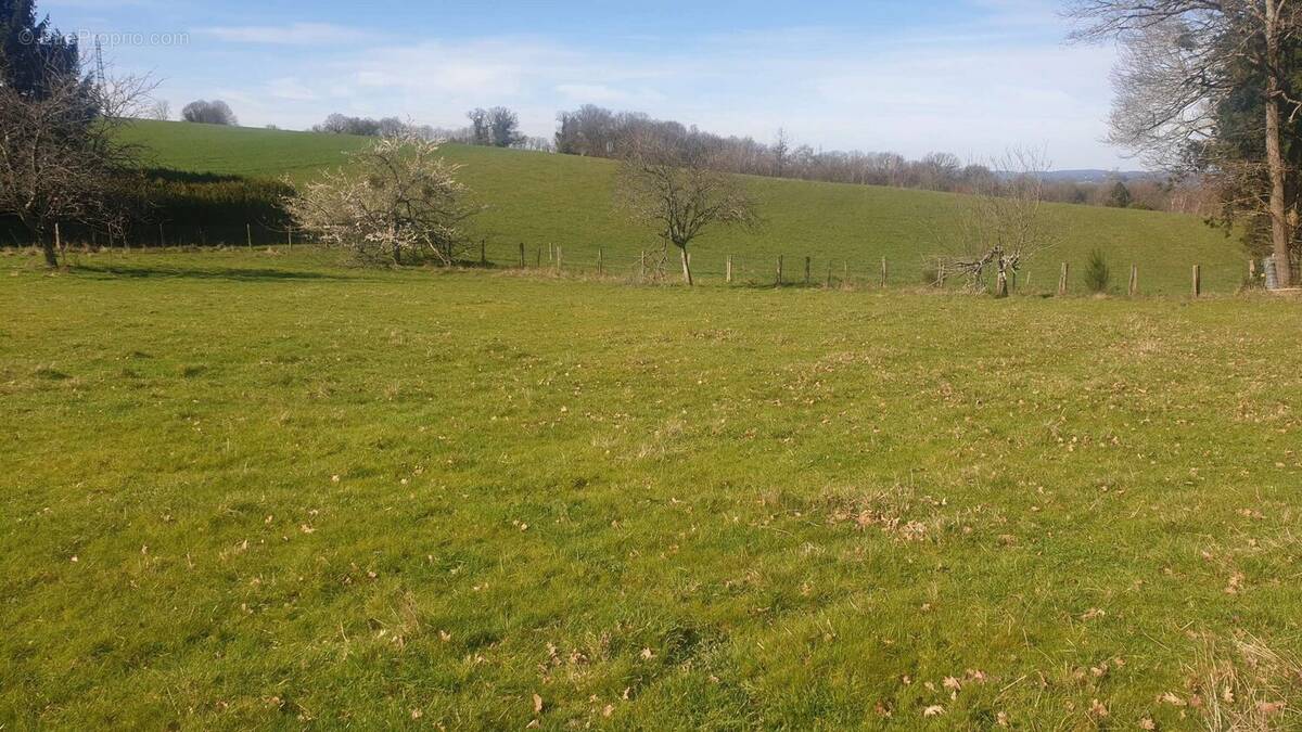 Terrain à SAINT-MARTIN-TERRESSUS