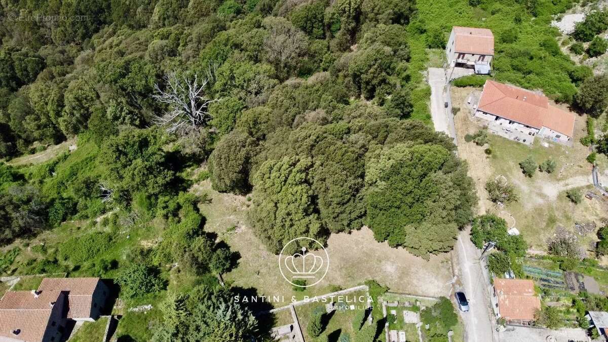 Terrain à ZICAVO