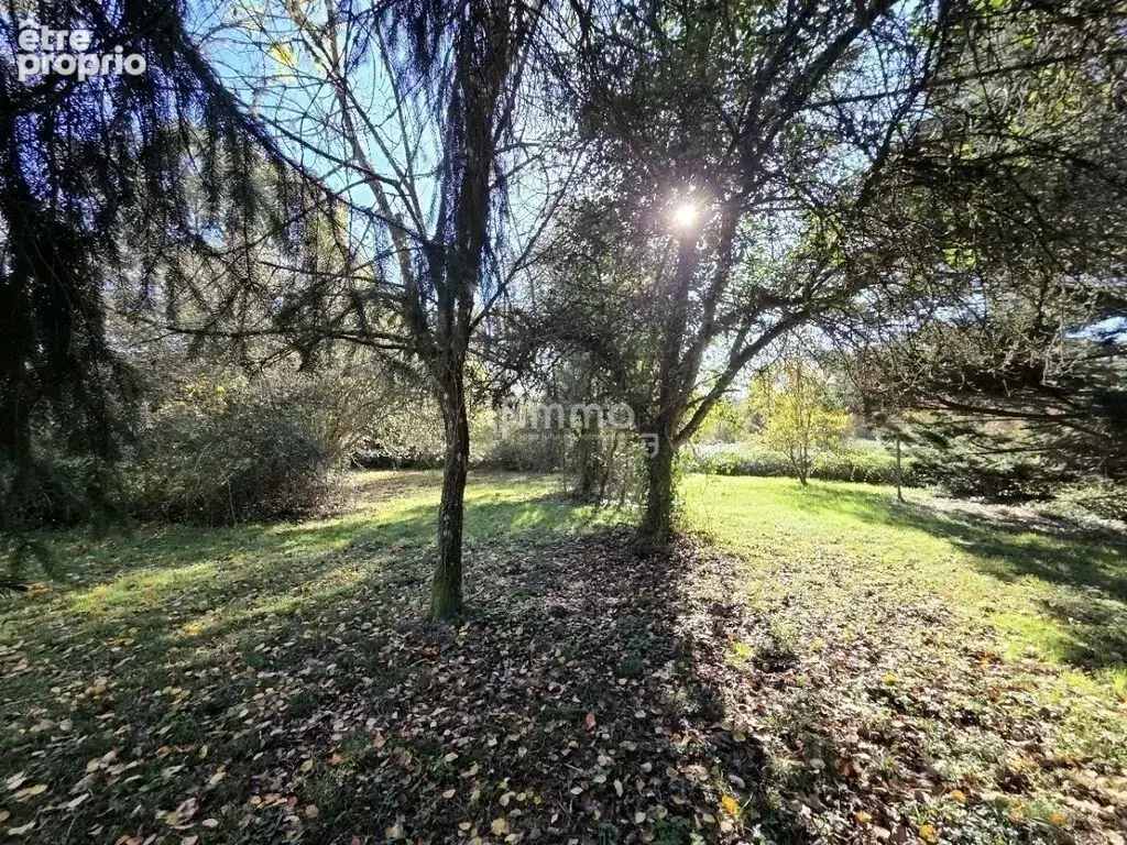 Grande maison familiale – 206 m² – Parcelle 17 457 m² - photo 19