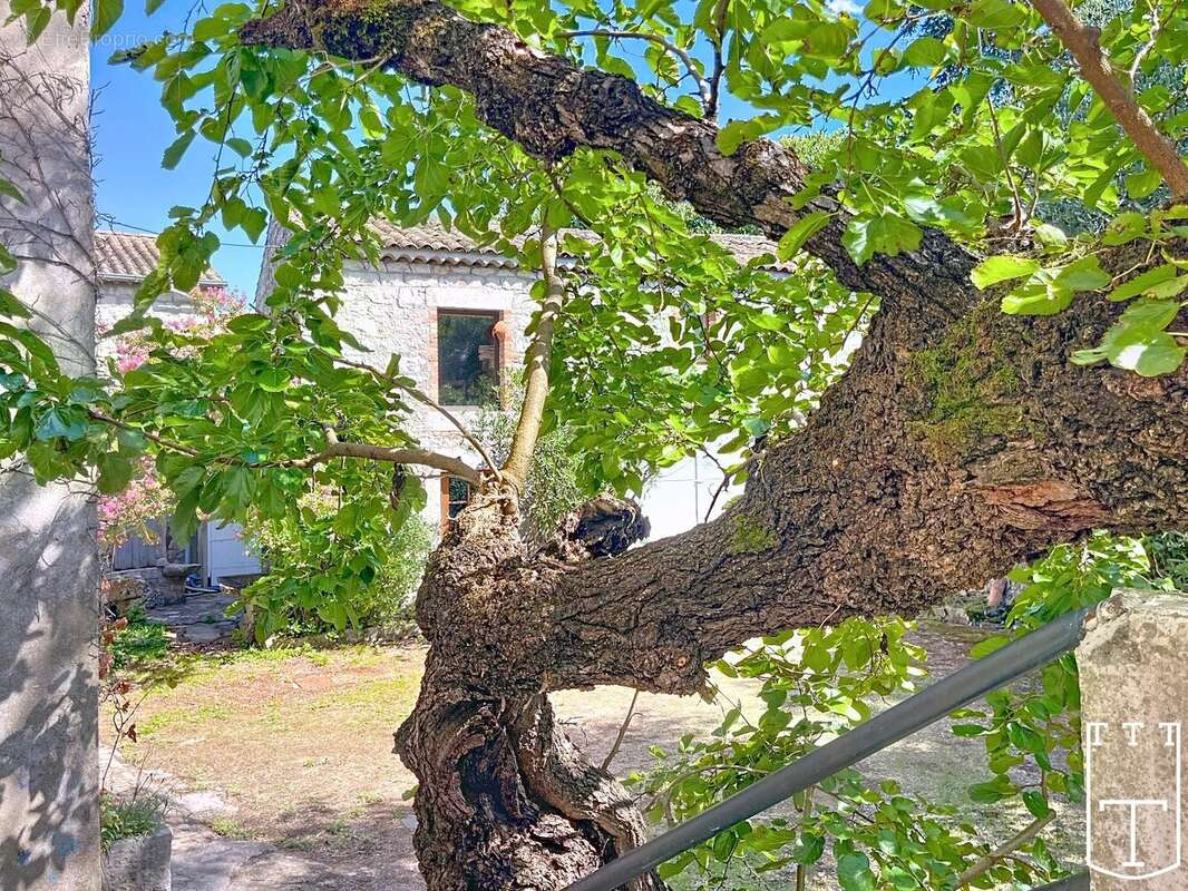 100% charme avec cette bâtisse + 1 dépendance [sud Ardèche] - photo 17